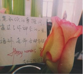 0857-6339309 招生办