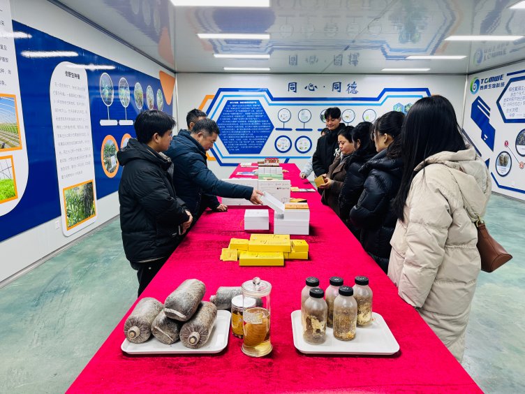 推动科研创新与人才培养联动
