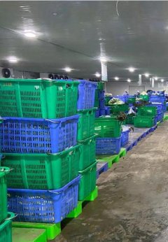 国务院关于高校毕业生就业工作的决策部